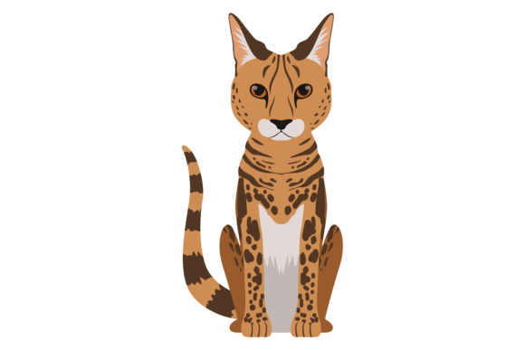 Bengal Cat Cartoon Pet Sitting Design Review
