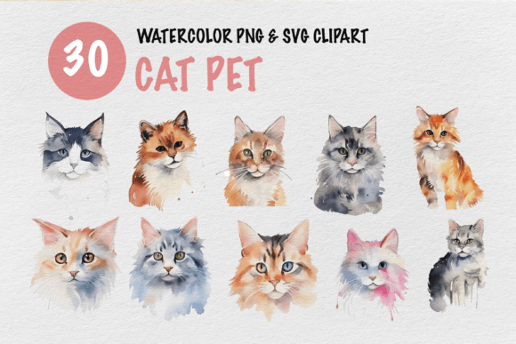 Cat Pet Watercolor Clipart Review