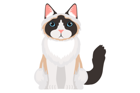 Siamese Cat Fluffy Pet Sitting Design Review